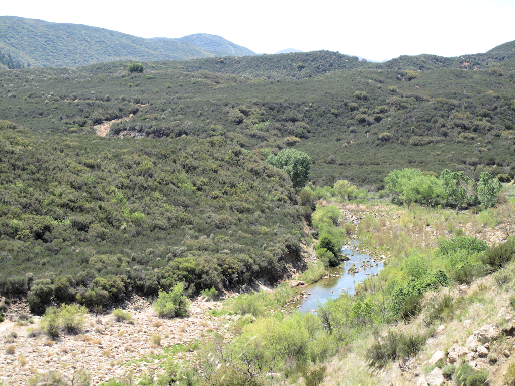 best rolling camera bag 2017