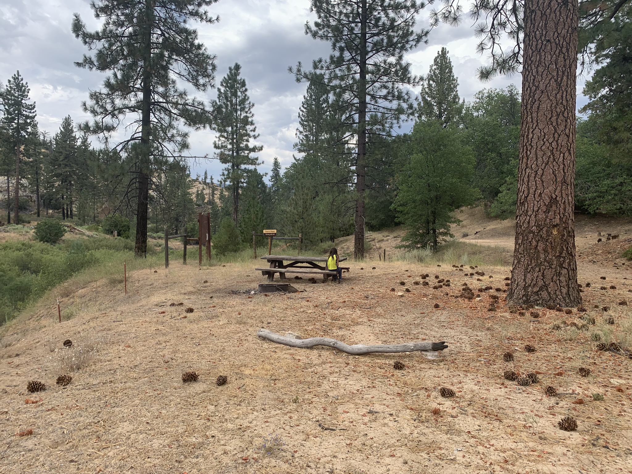 Escape To Southern California’s Hidden Gem: Thorn Meadows Campground