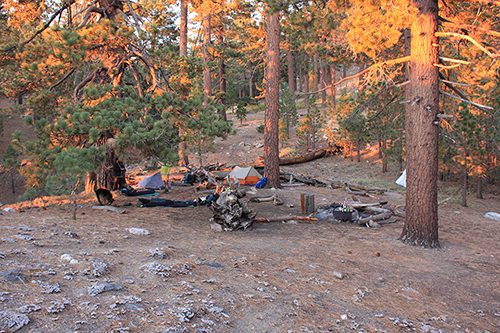 Sheep Camp — photo 2